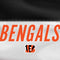 NFL Cincinnati Bengals White Striped Surface Book 2 13.5in Skin
